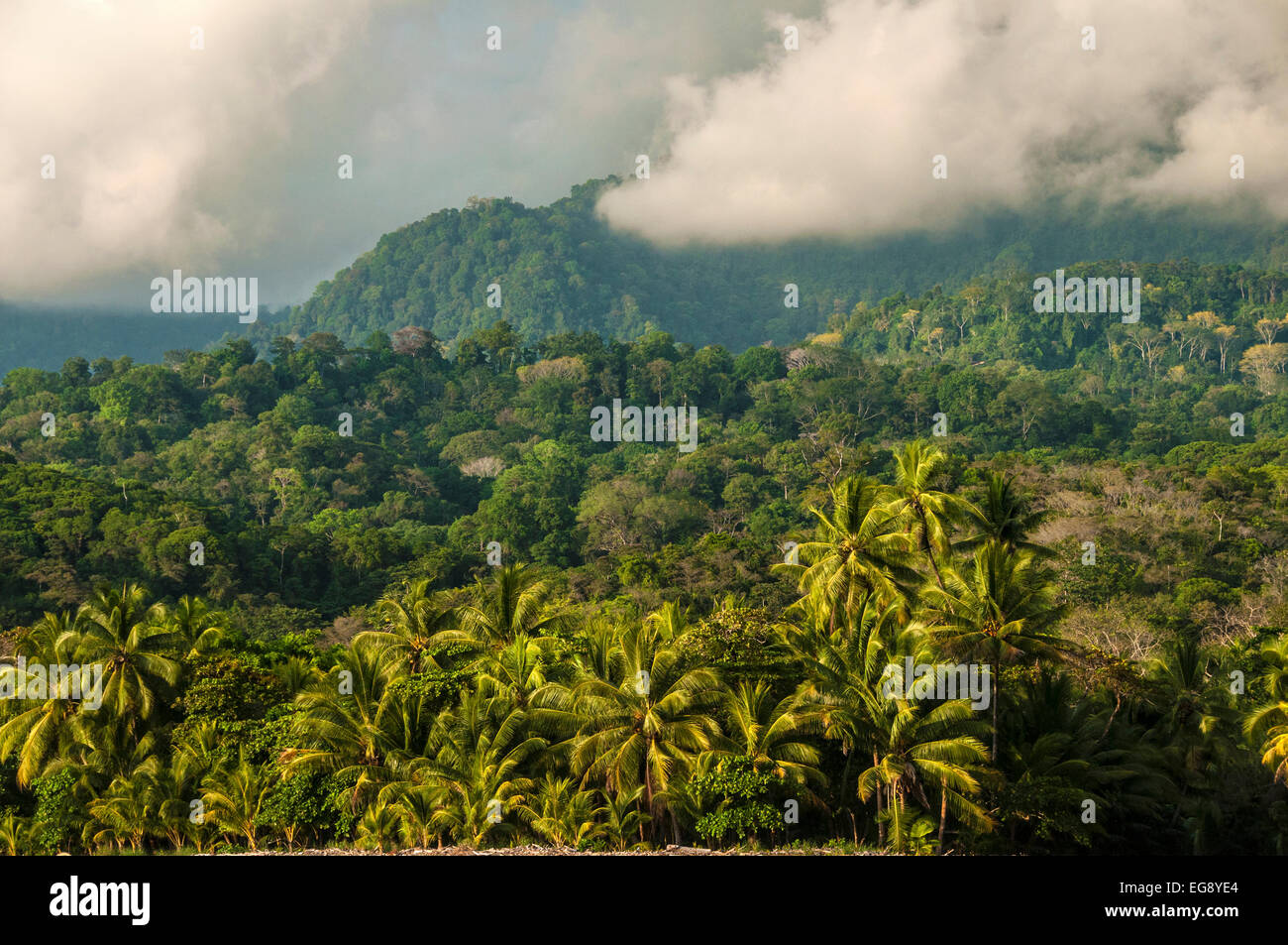 Clearing ciel au-dessus de la forêt tropicale du Costa Rica. Banque D'Images