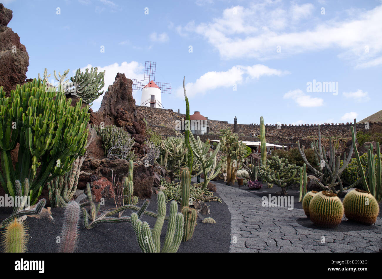 Le jardin de cactus El Jardin del Cactus conçu Lanzarote artiste Cesar Manrique. Banque D'Images