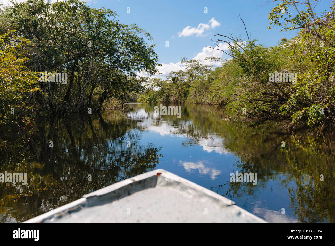 Balade en bateau sur la rivière Nouvelle à Lamanai, Belize Banque D'Images