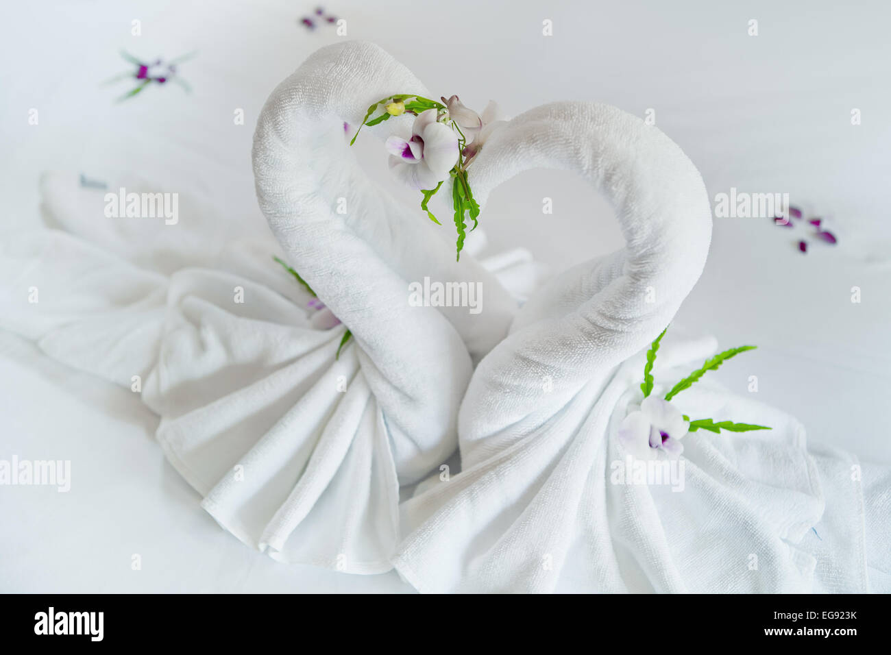 Vue rapprochée de deux belles serviettes drap de lit blanc sur les cygnes Banque D'Images