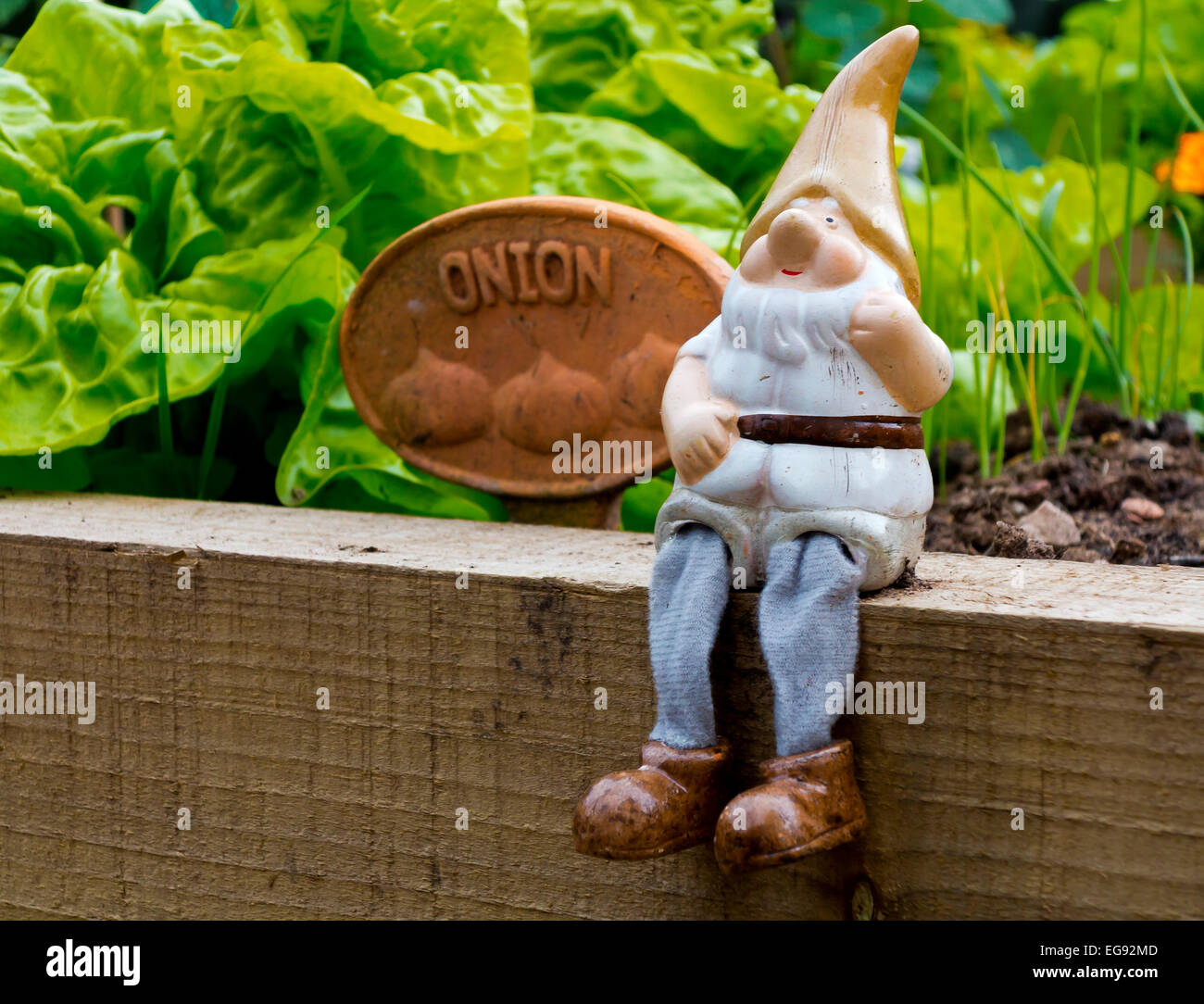 Nain De Jardin Surf - Figurine Résine 15 Cm, Décor Extérieur Humoristique - Pour Terrasse, Balcon, Pelouse - Fait Main