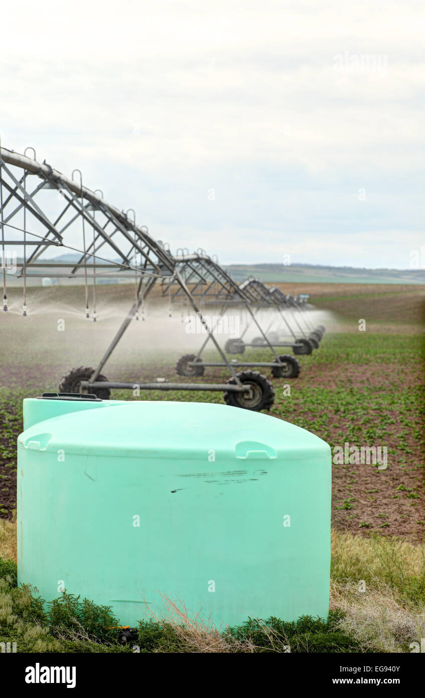Un champ de blé sprinkleur à pivot central est alimenté avec de l'engrais, pesticides et herbicides stocké dans le réservoir. Banque D'Images