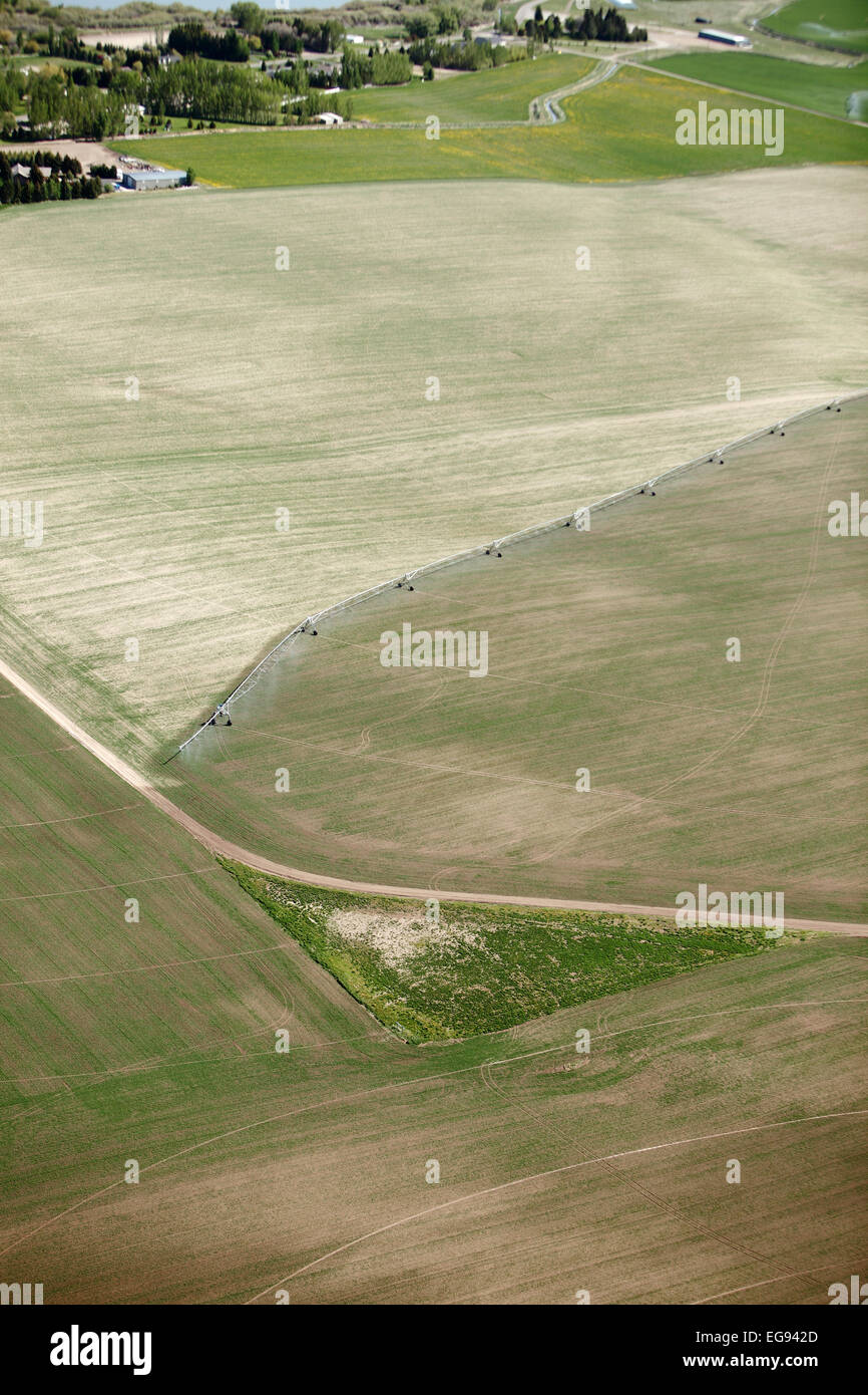 Une vue aérienne des terres agricoles irriguées avec un système d'irrigation à pivot central Banque D'Images
