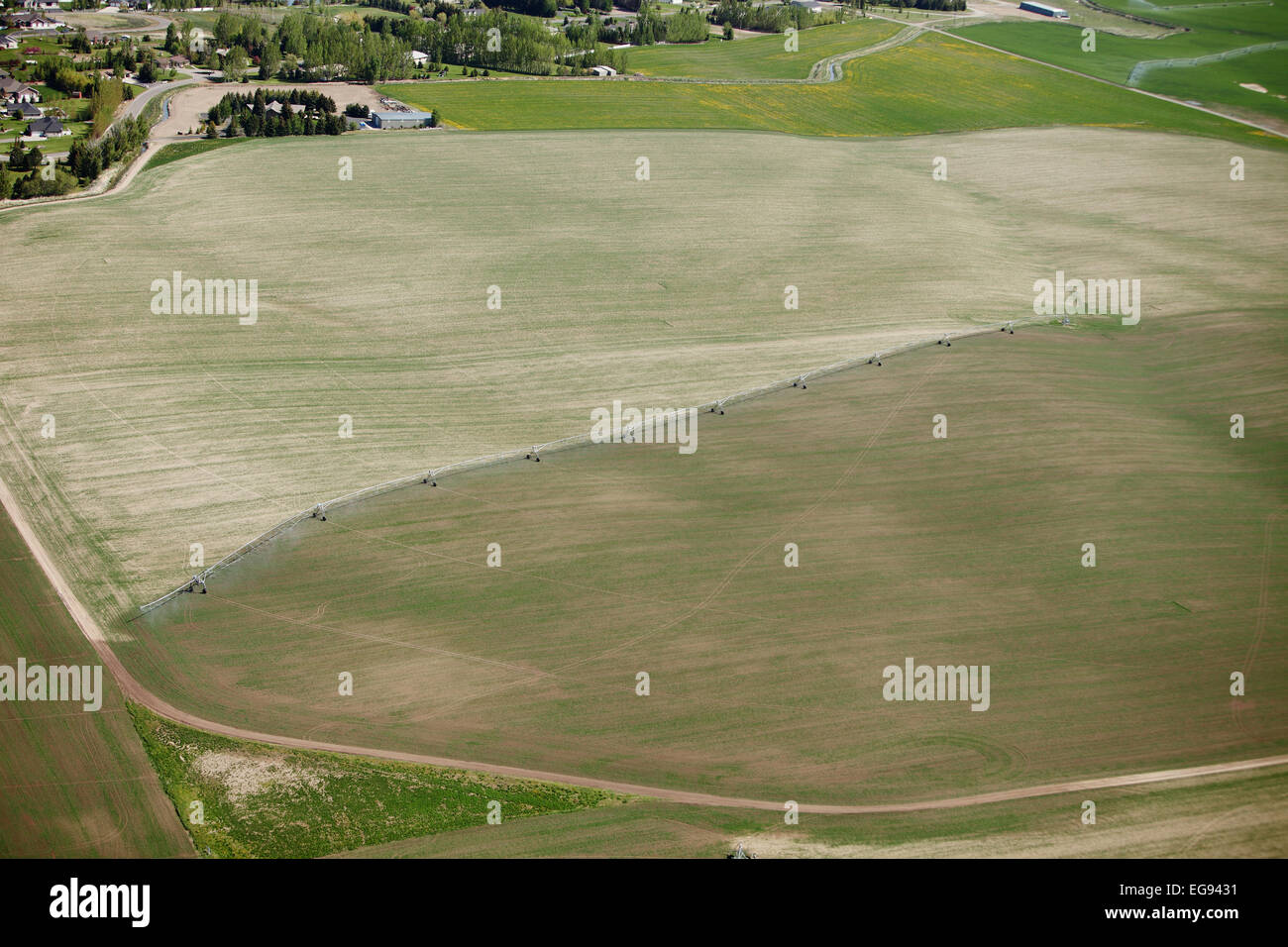 Une vue aérienne des terres agricoles irriguées avec un système d'irrigation à pivot central Banque D'Images
