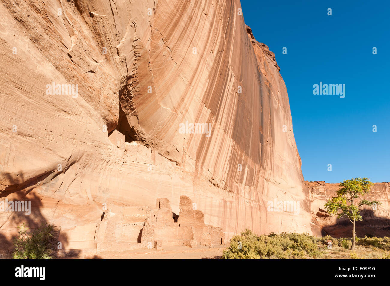 USA, Arizona, Apache Comté, Canyon de Chelly, maisons Anasazi par rock cliff Banque D'Images