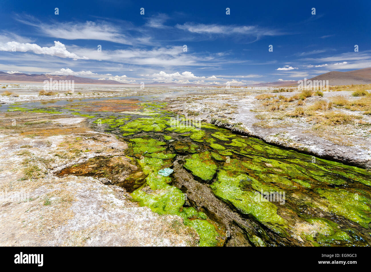 La Bolivie, l'Altiplano, paysage avec la vallée aride de Banque D'Images