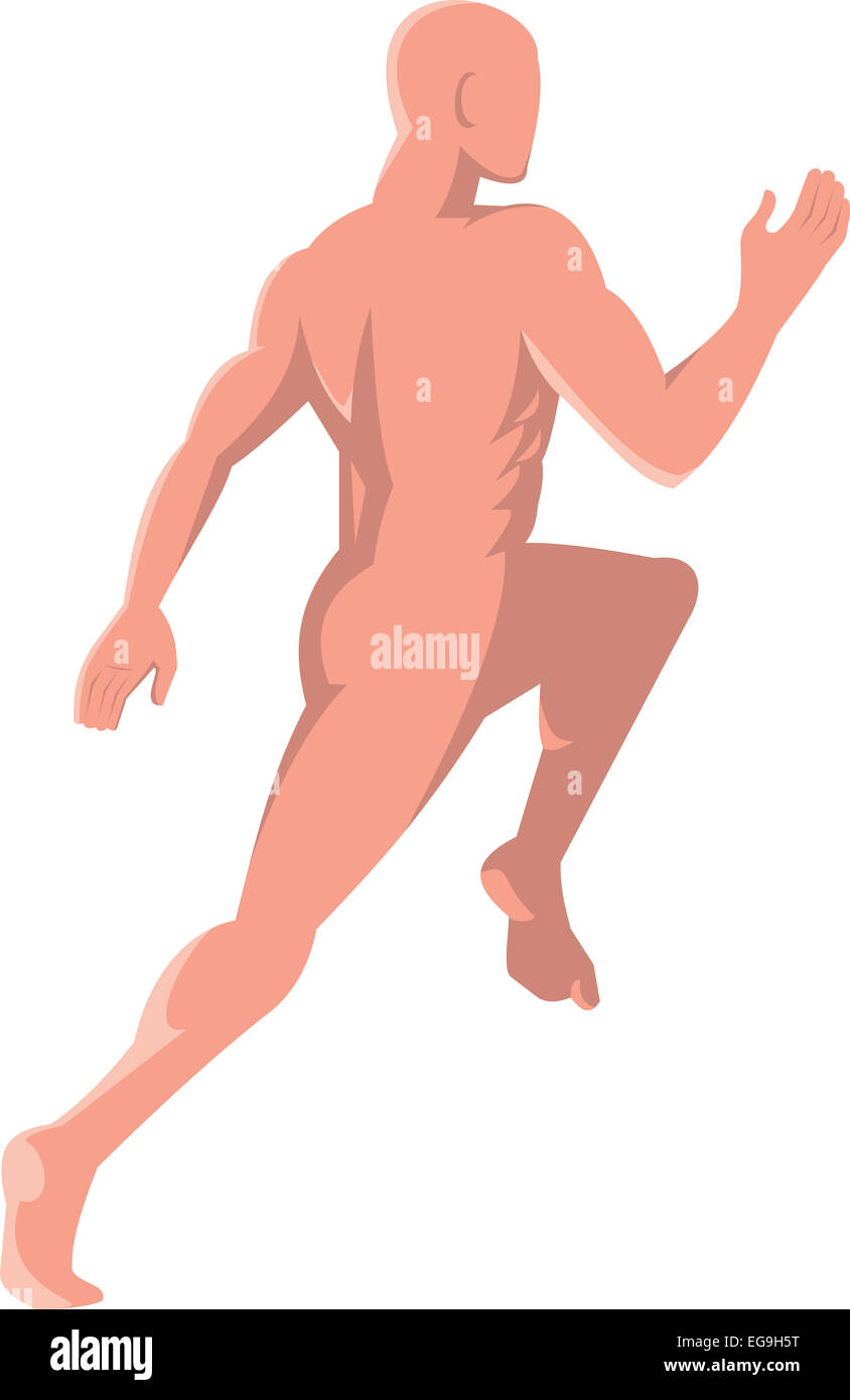 Illustration d'un homme l'anatomie humaine en marche vue de l'arrière vue de côté situé sur fond blanc isolé fait en art déco rétro Banque D'Images