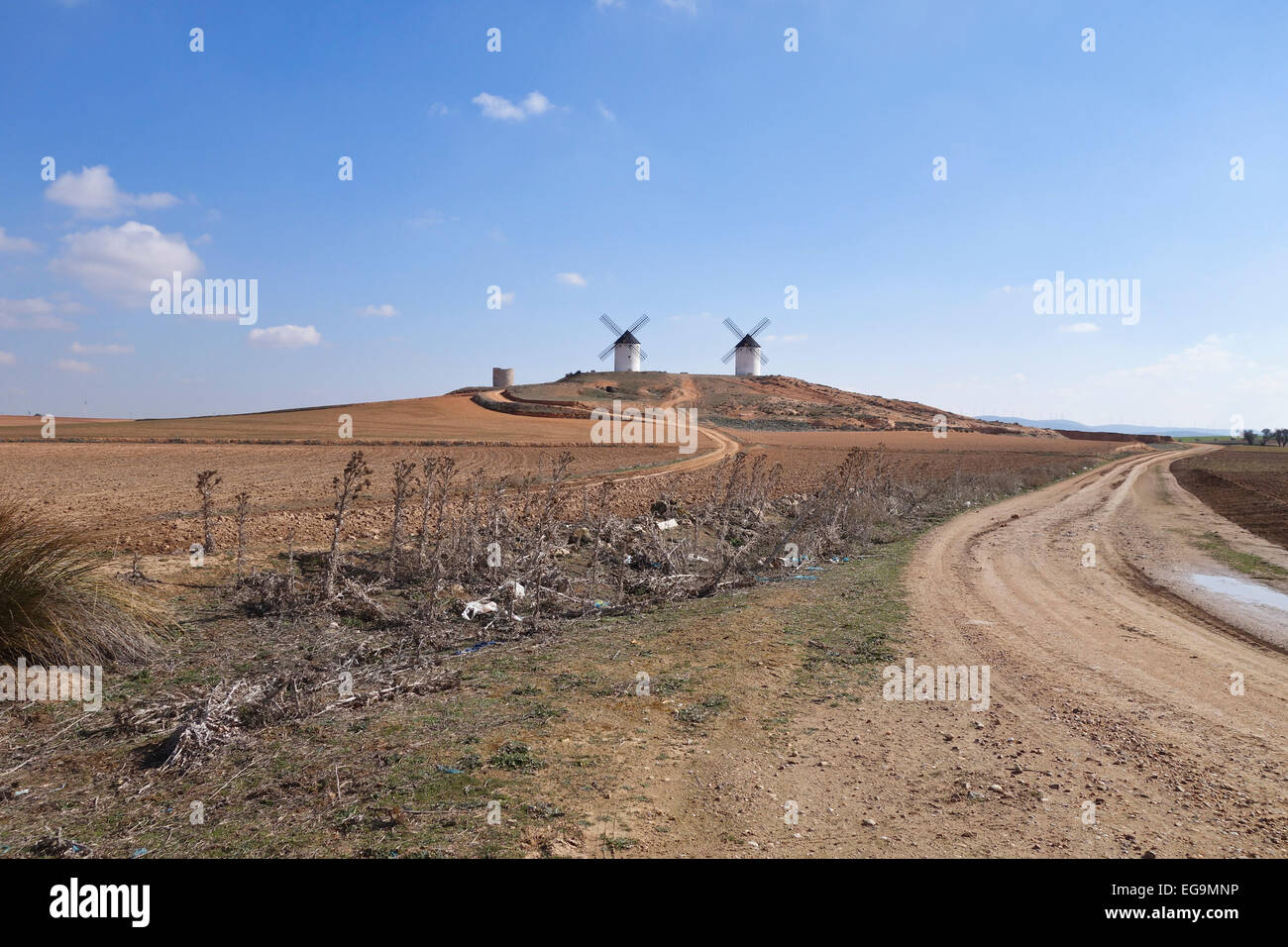 Route sans fin pour l'espagnol les moulins à vent près de Tembleque dans la province de Tolède, Castille-La Manche, Espagne. Banque D'Images