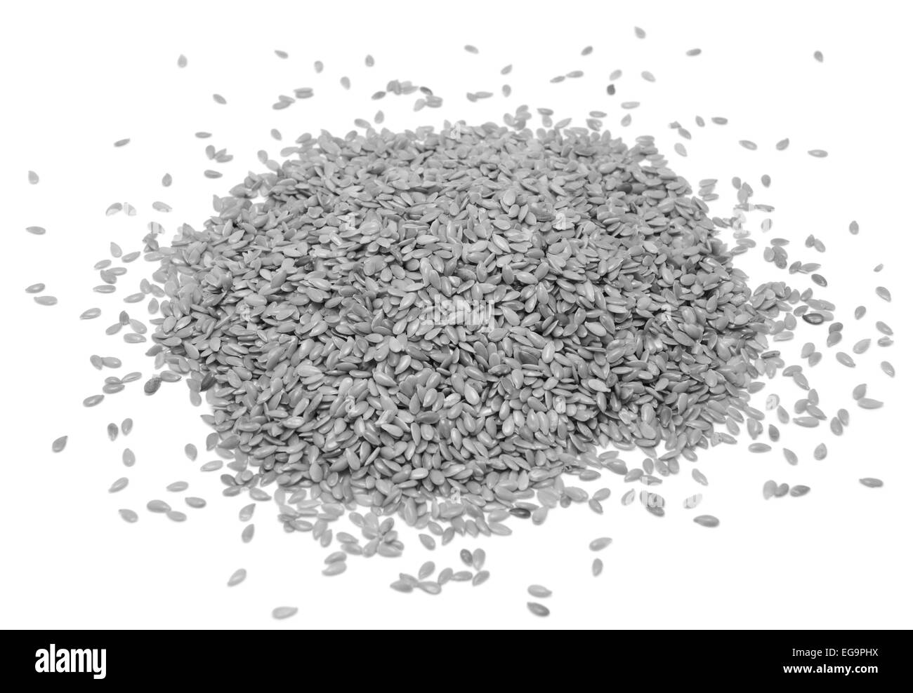 Les graines de lin ou lin, isolé sur fond blanc - traitement monochrome Banque D'Images