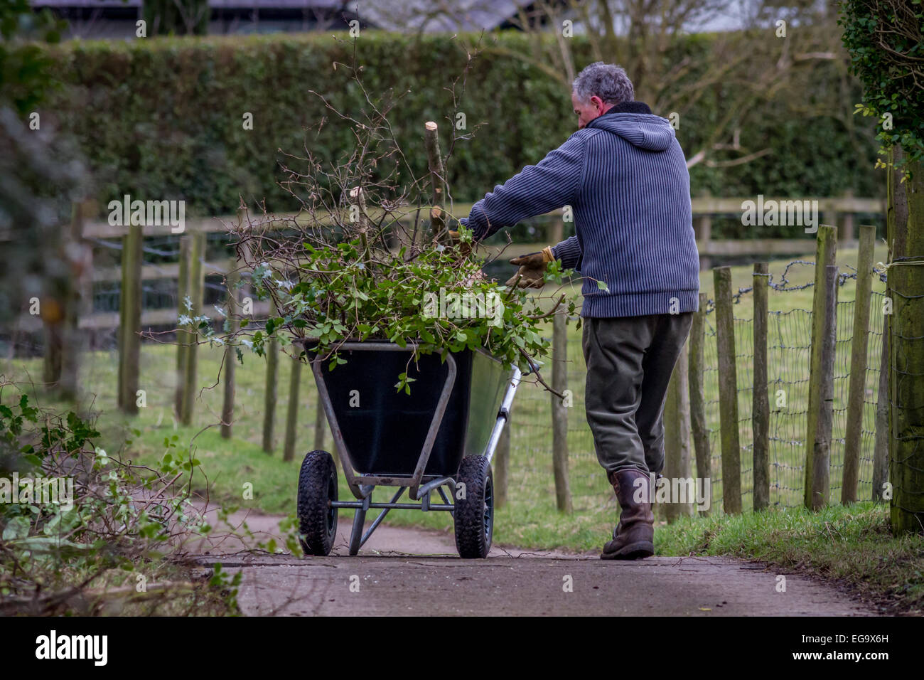 L'homme à l'aide de jardinage brouette pour collecter des captures en hiver/printemps Banque D'Images