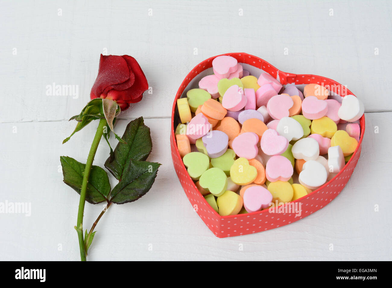 Une boîte de bonbons coeur de la Saint-Valentin et une rose rouge sur une table de bois blanc. La rose est embué et les bonbons sont pastel Banque D'Images