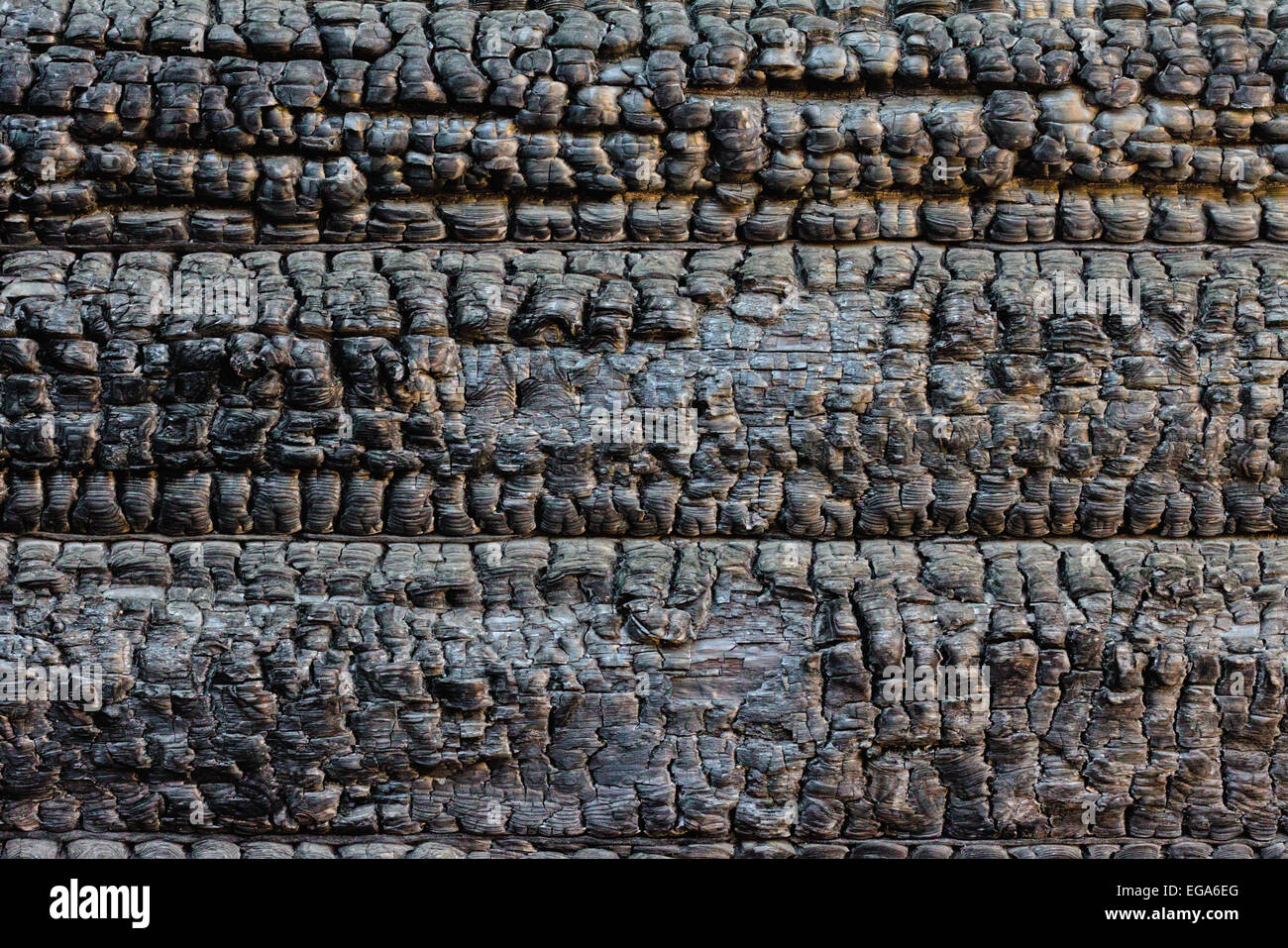 Mur de bois brûlé Banque D'Images