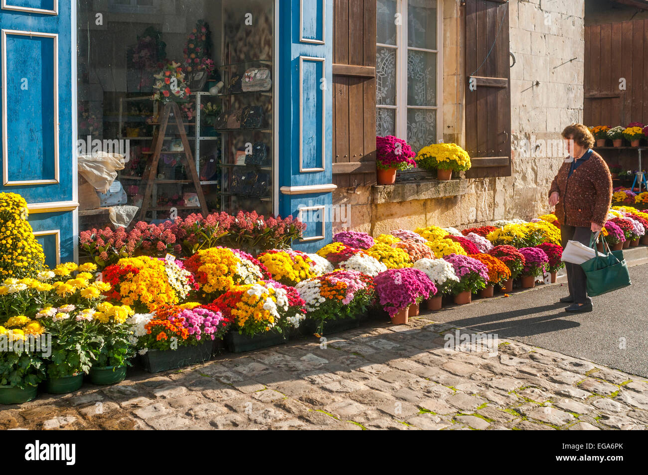 Des pots de chrysanthèmes et de fleurs fraîches à l'extérieur les fleuristes shop - France. Banque D'Images
