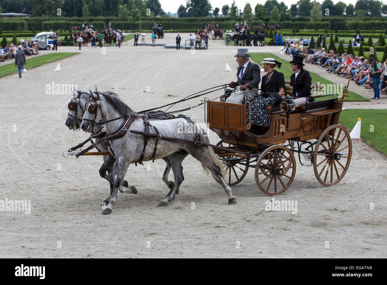 La concurrence internationale pour les voitures traditionnelles 'La Venaria Reale', transport : Chien Panier , les chevaux : paire d'Espagnol pur,Italie Banque D'Images