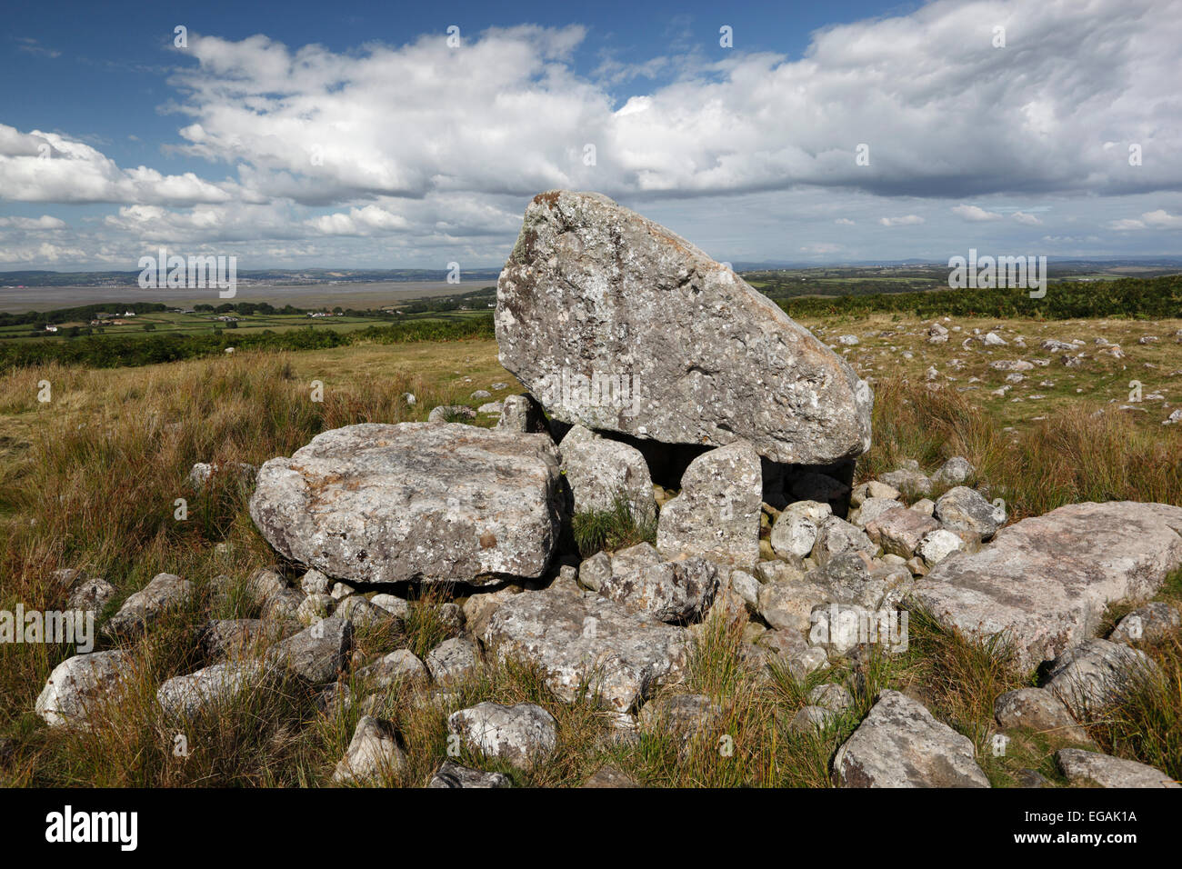 Arthur's Stone (Maen Ceti, Maen Cetty chambré néolithique ) dolmen, Péninsule de Gower, Swansea, West Glamorgan, Pays de Galles, Royaume-Uni Banque D'Images