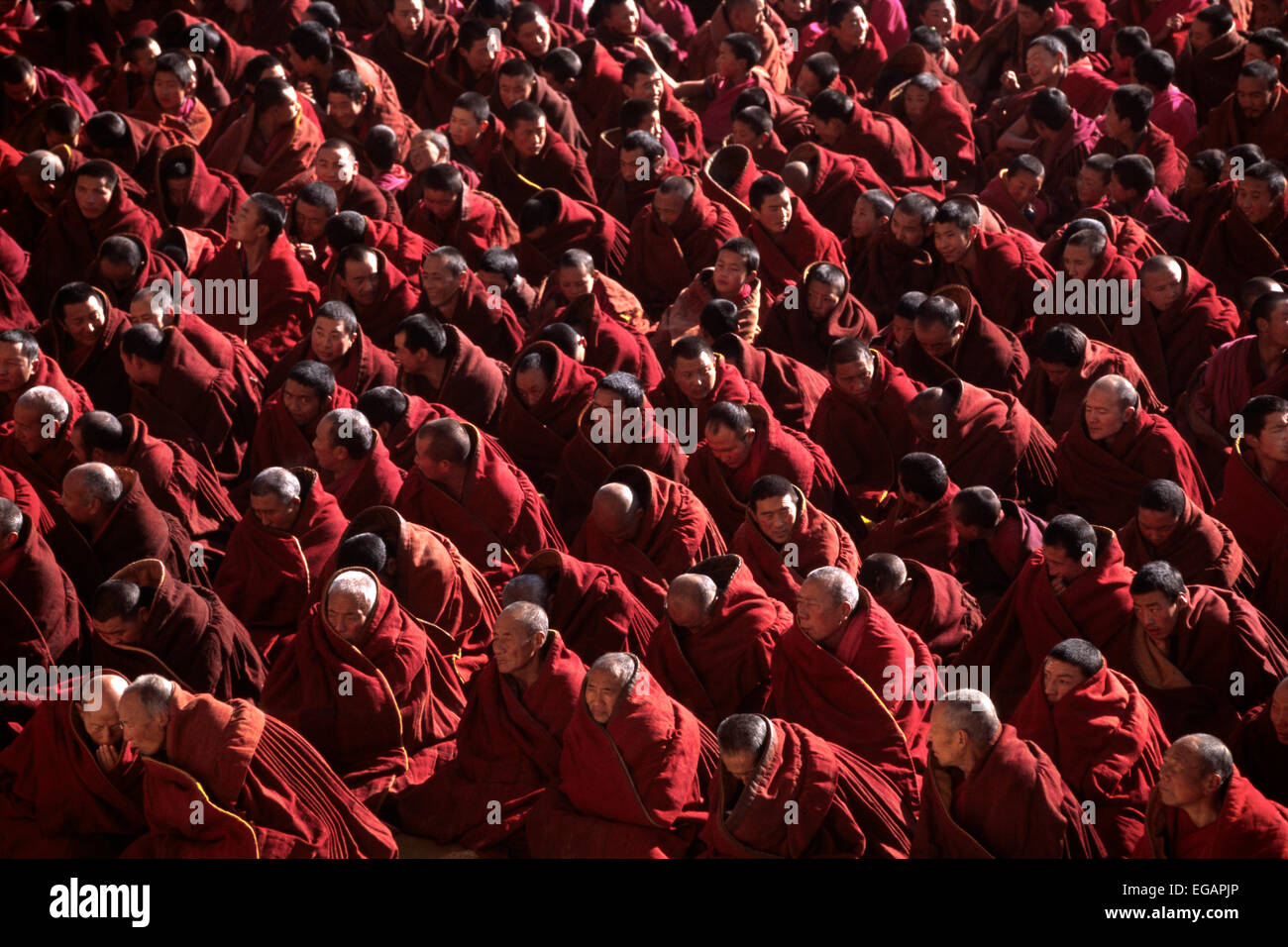 Chine, Tibet, province du Gansu, Xiahé, monastère de Labrang, jour du nouvel an tibétain, Monlam, la grande prière, les moines tibétains Banque D'Images