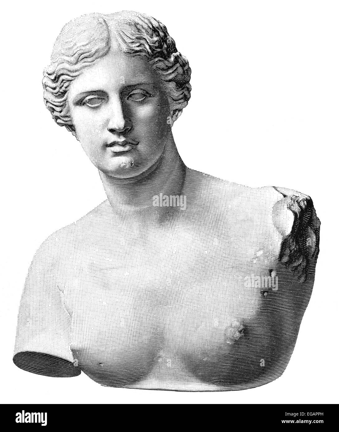 L'Aphrodite de Milos ou Vénus de Milo, une statue grecque antique, Banque D'Images