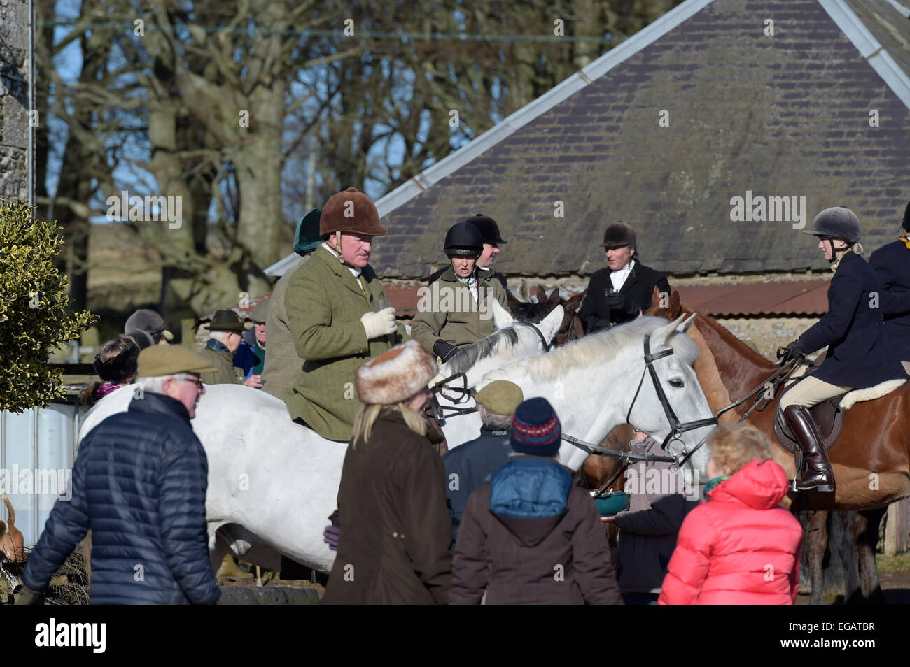 Bluecairn ferme, Galashiels/Lauder, UK. 21 Février, 2015. Lauderdale chasser un glorieux samedi matin ensoleillé, le 21 Mar 2015, Hunt disciples profitez d'une coupe de l'étrier avant le ride out du Bluecairn Farm, près de Galashiels dans les Scottish Borders avec le Lauderdale Hunt. Crédit : Rob Gray/Alamy Live News Banque D'Images