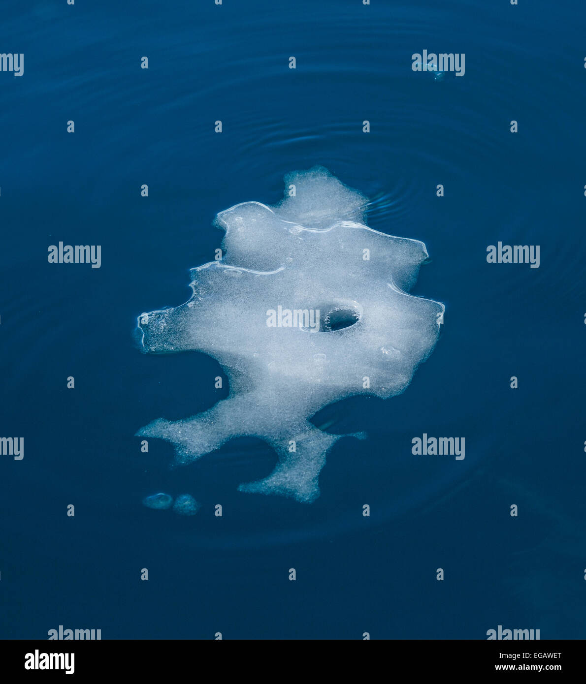 Vestige d'iceberg flottant comme un puzzle, Cierva Cove, l'Antarctique Banque D'Images
