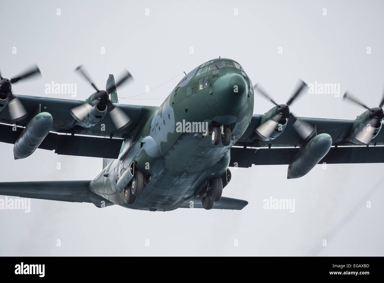 Lockheed C-130 Hercules militaire à l'atterrissage à Frei, King George Island, Antarctica Banque D'Images