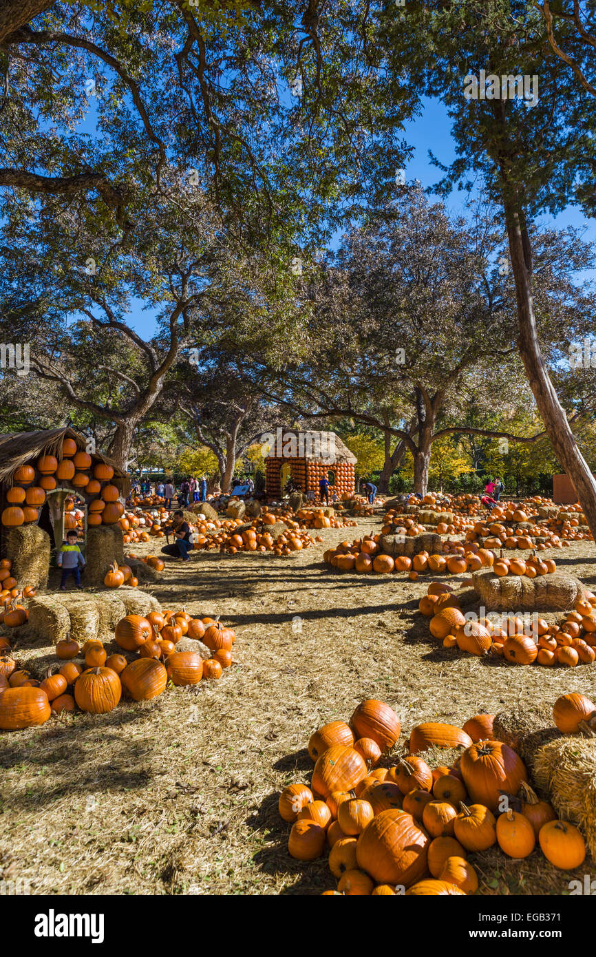 Le Village de citrouille à l'automne, Dallas Arboretum and Botanical Garden, Texas, États-Unis Banque D'Images