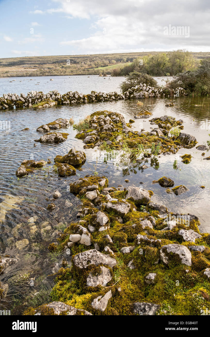 Carran Turlough, le Burren, comté de Clare, Irlande Banque D'Images