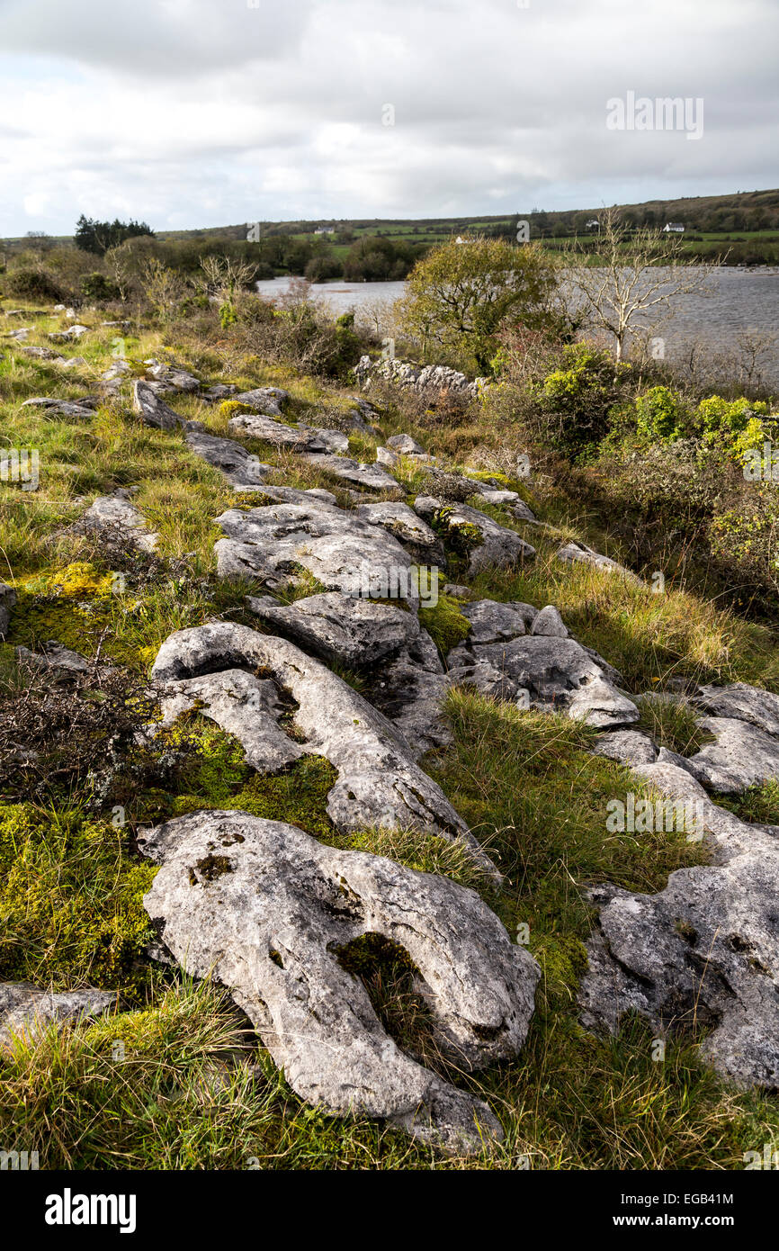 Karst calcaire à Carran Turlough, le Burren, comté de Clare, Irlande Banque D'Images