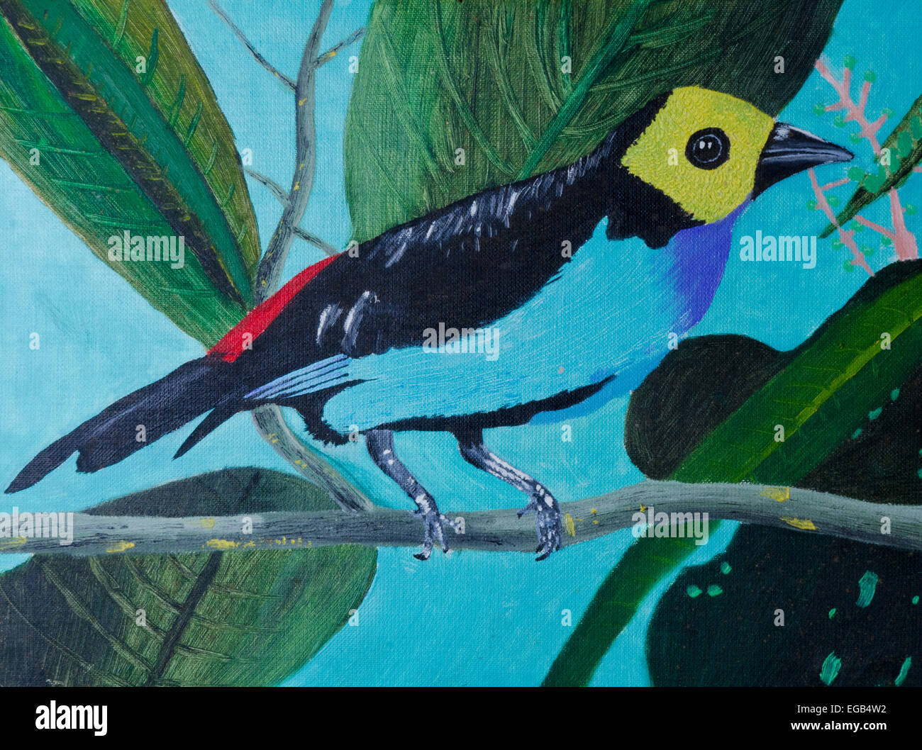 La peinture d'oiseaux exotiques Banque D'Images