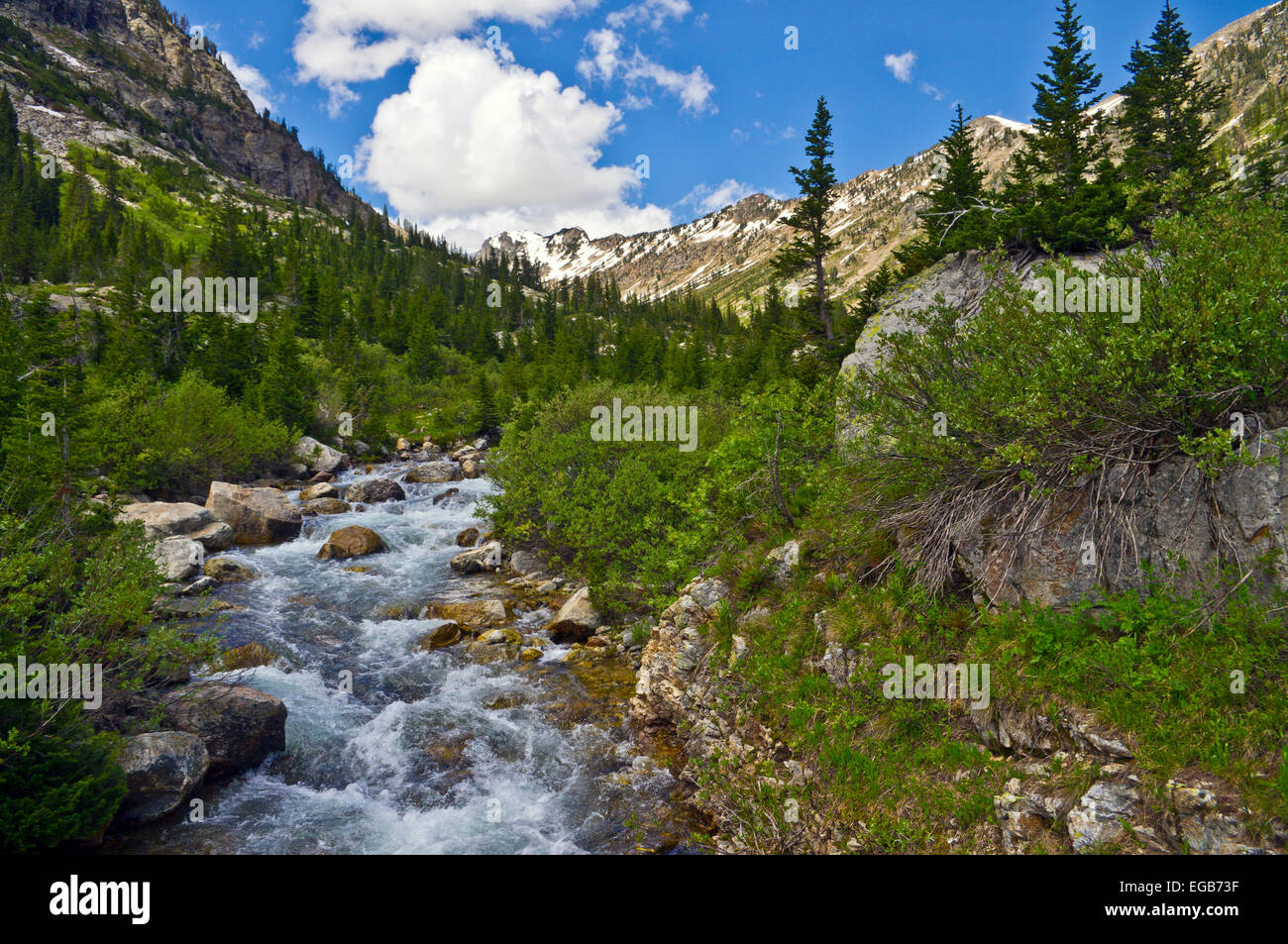 Le long du ruisseau Cascade canyon Cascade le chemin de randonnée pédestre du parc national de Grand Teton, Wyoming, United States. Banque D'Images