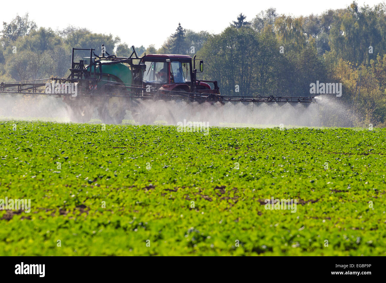 Pulvérisation tracteur fertiliser avec insecticide herbicide produits chimiques dans l'agriculture et la lumière du soleil du soir Banque D'Images
