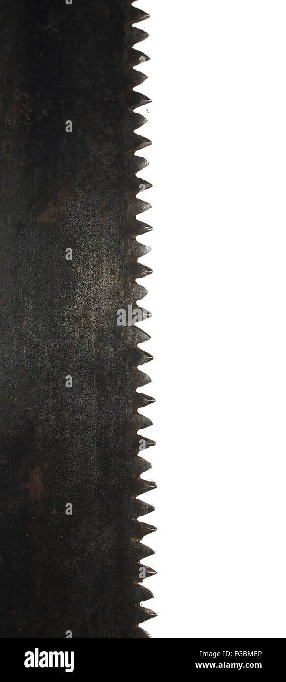 Scie à bois main fragment isolé sur fond blanc. Banque D'Images