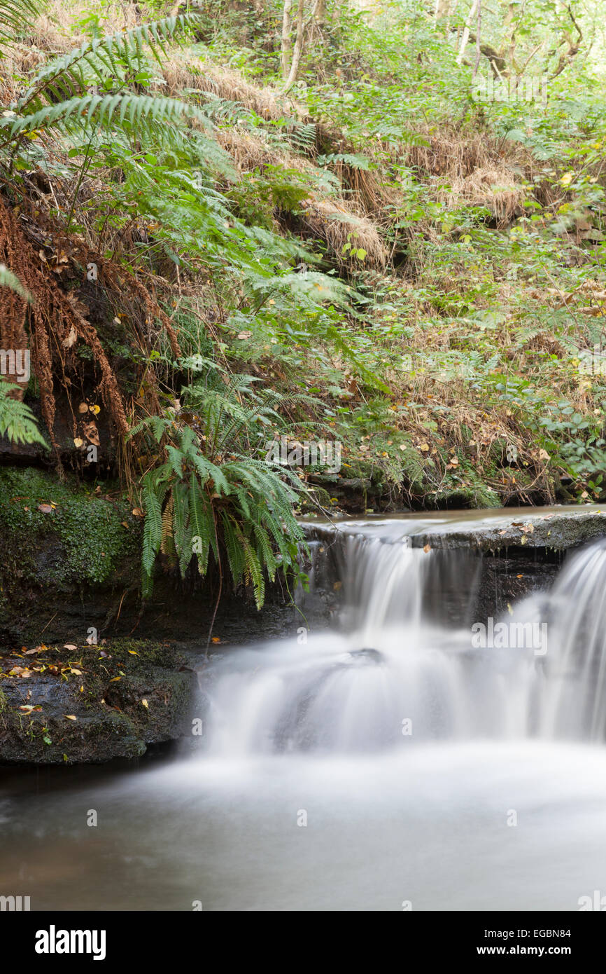 Nature : cascade, l'eau en mouvement. Banque D'Images