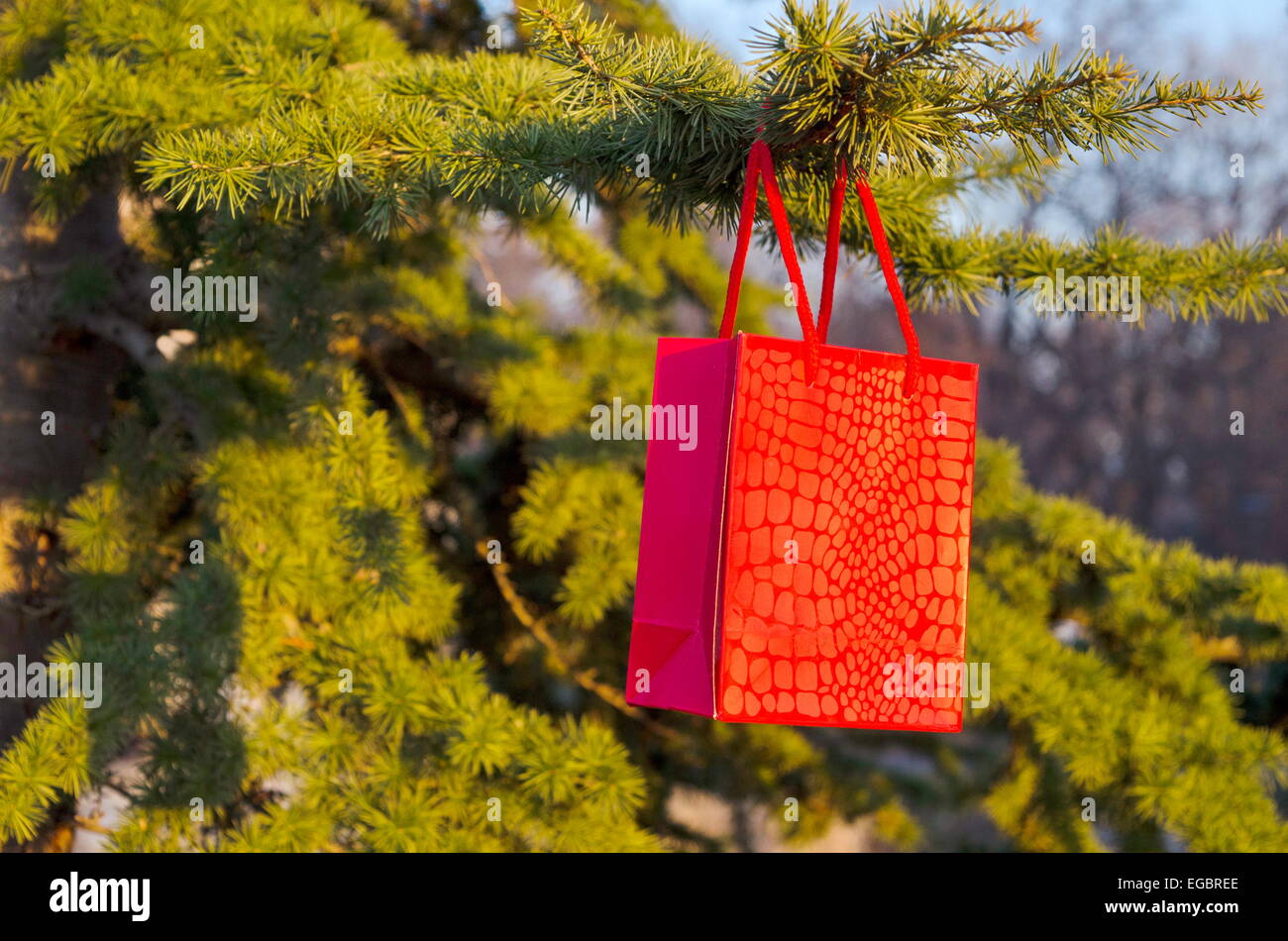 Saint-valentin surprise, sac en papier rouge suspendu à un sapin Banque D'Images