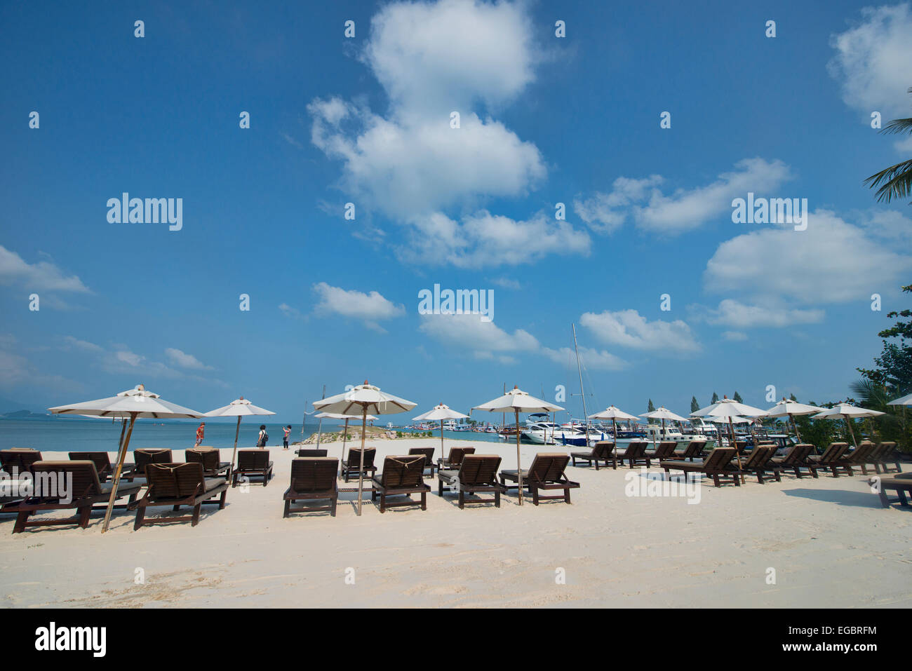 Belle plage de sable blanc, Koh Samui, Thaïlande Banque D'Images