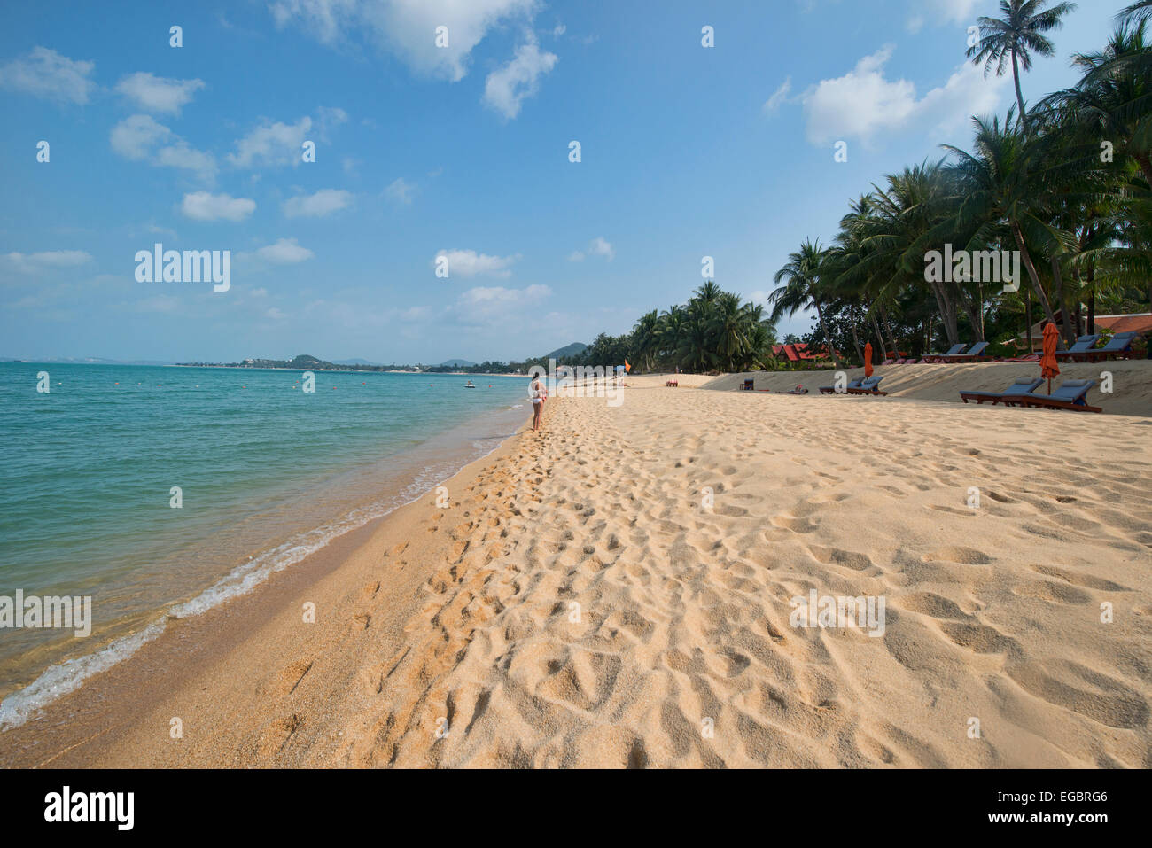 Belle plage de sable blanc, Koh Samui, Thaïlande Banque D'Images