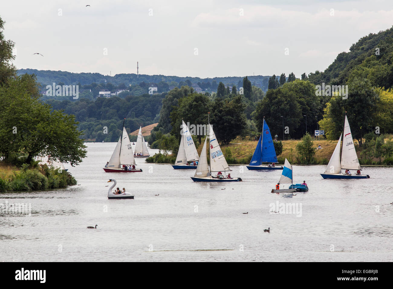 Voir Kemnade, lac, près de Bochum, loisirs et sports d'eau, réservoir de rivière Ruhr, voile, croisières, location de bateaux Banque D'Images