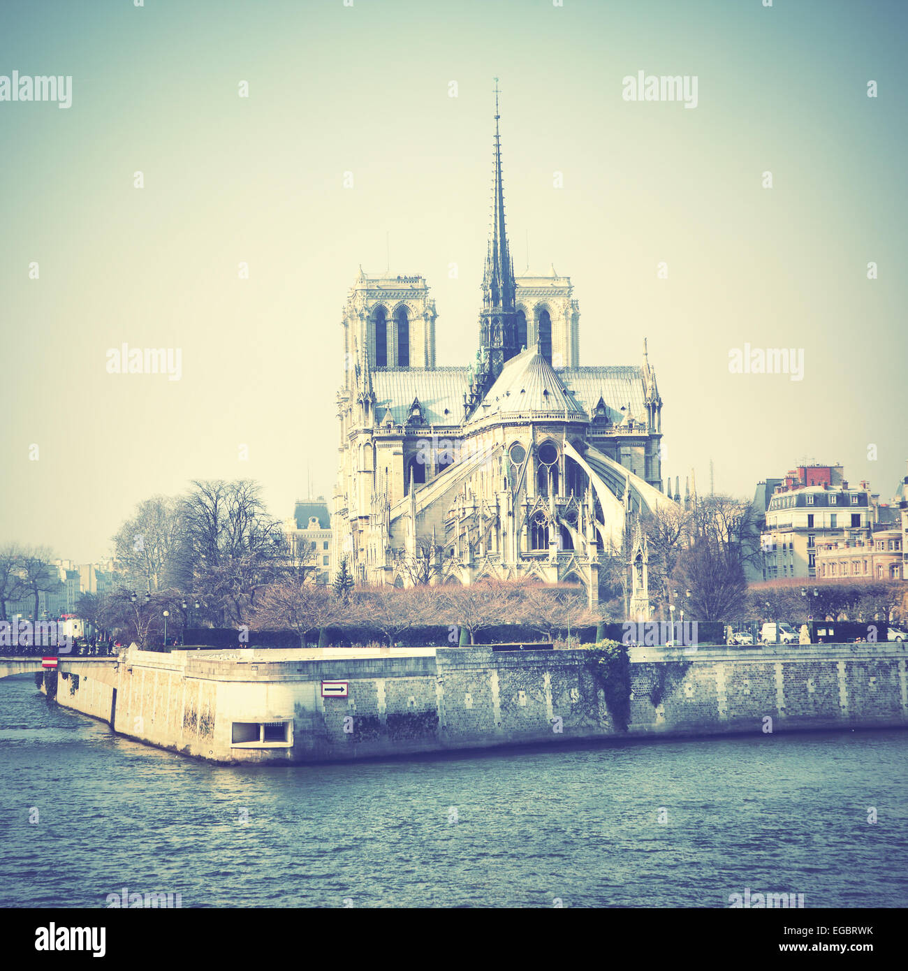 L'arrière de Notre Dame de Paris, France. Retro style tonique libre Banque D'Images