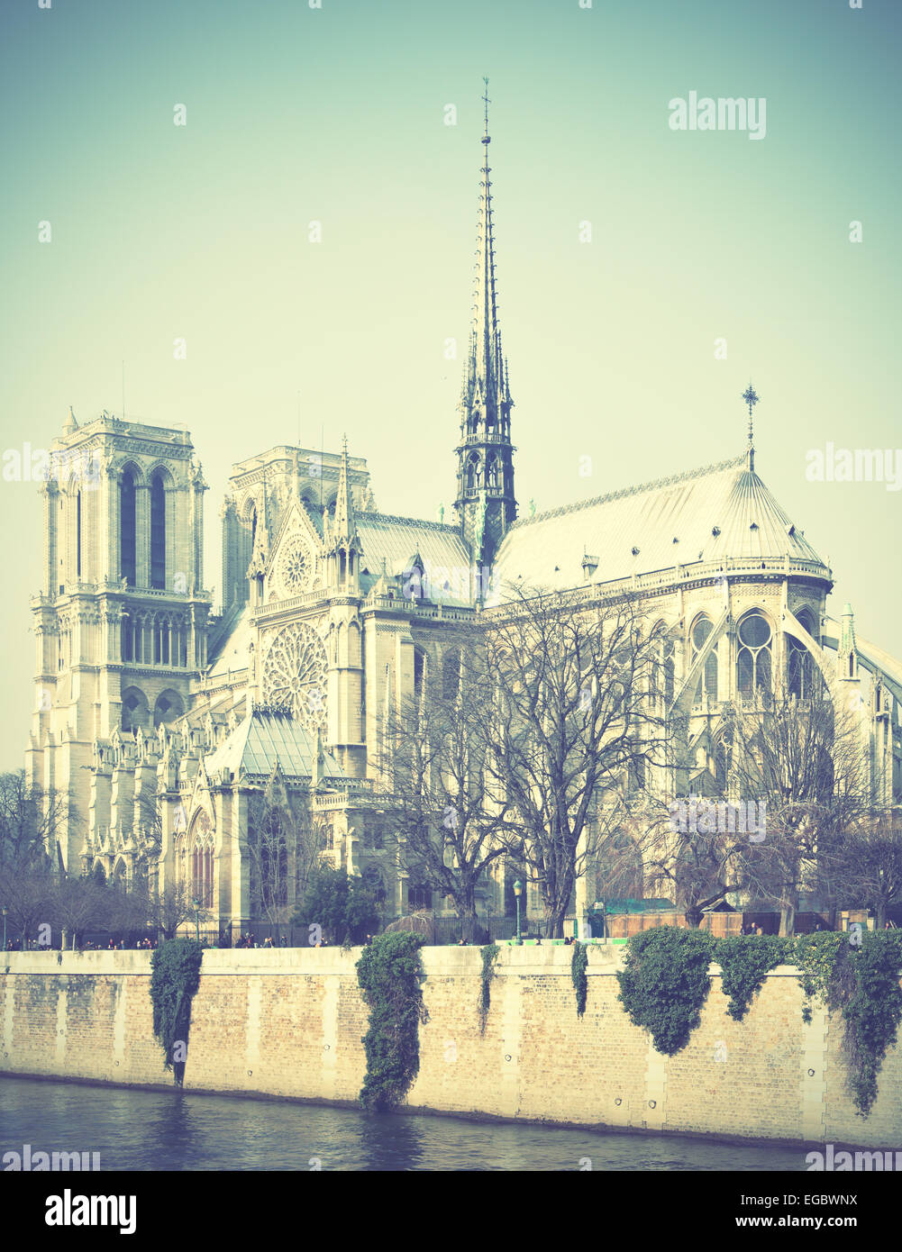 Notre Dame de Paris en France. Style rétro droit filtré Banque D'Images