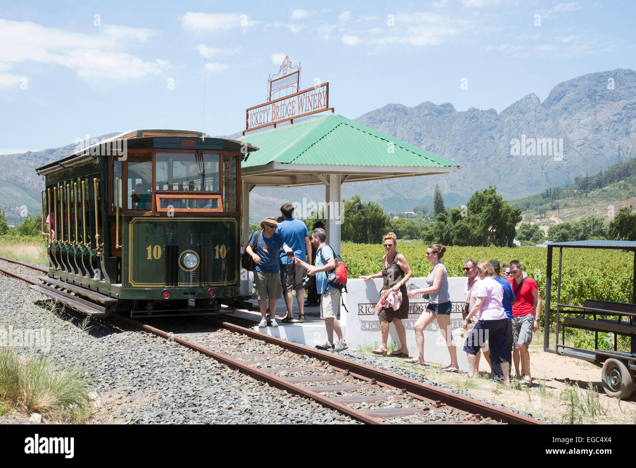 Tramway de vin à travers le vignoble, dans la Vallée de Franschhoek Western Cape Afrique du Sud Banque D'Images