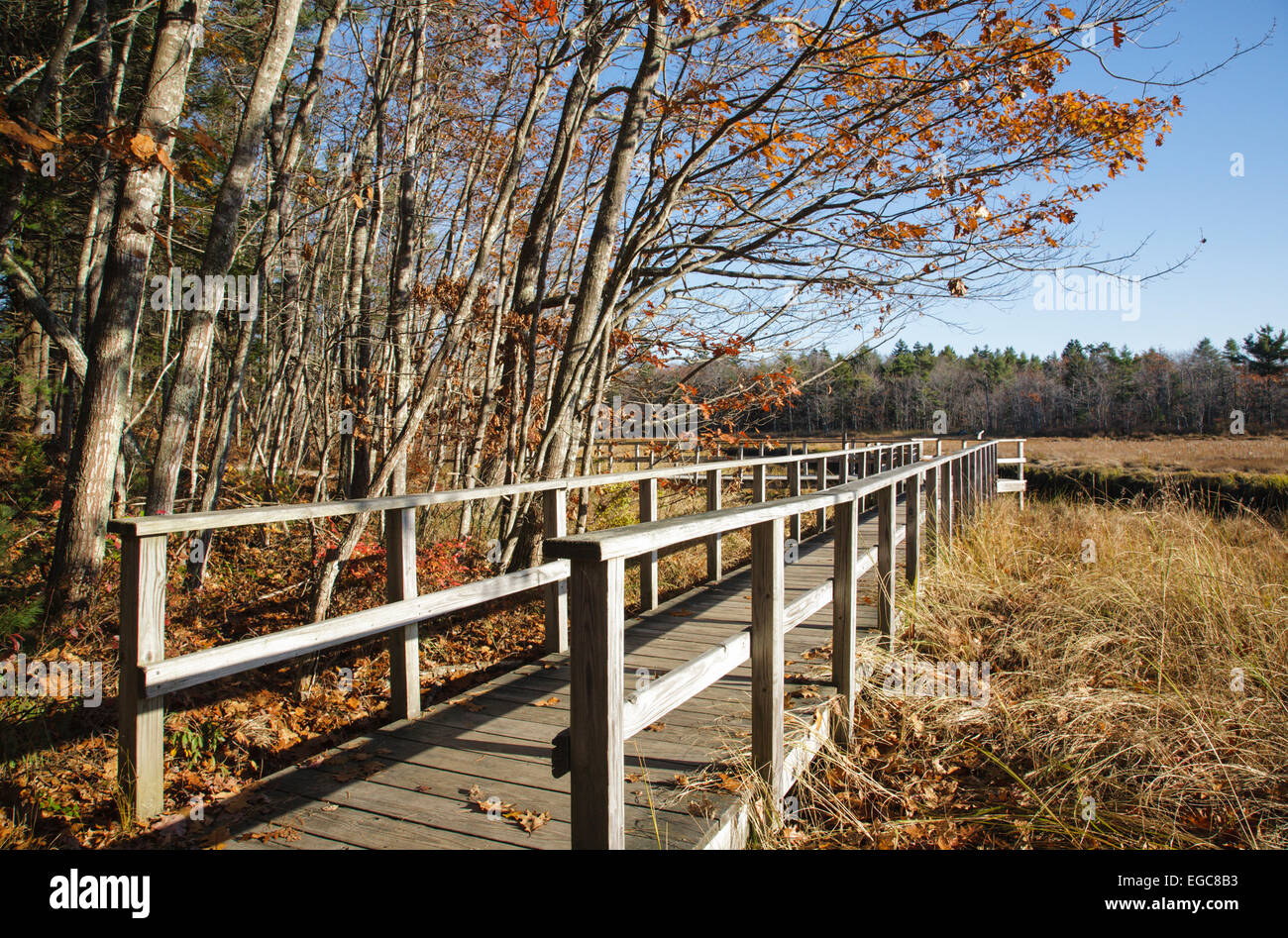 Rachel Carson National Wildlife Refuge pendant les mois d'automne dans la région de Wells, Maine USA Banque D'Images