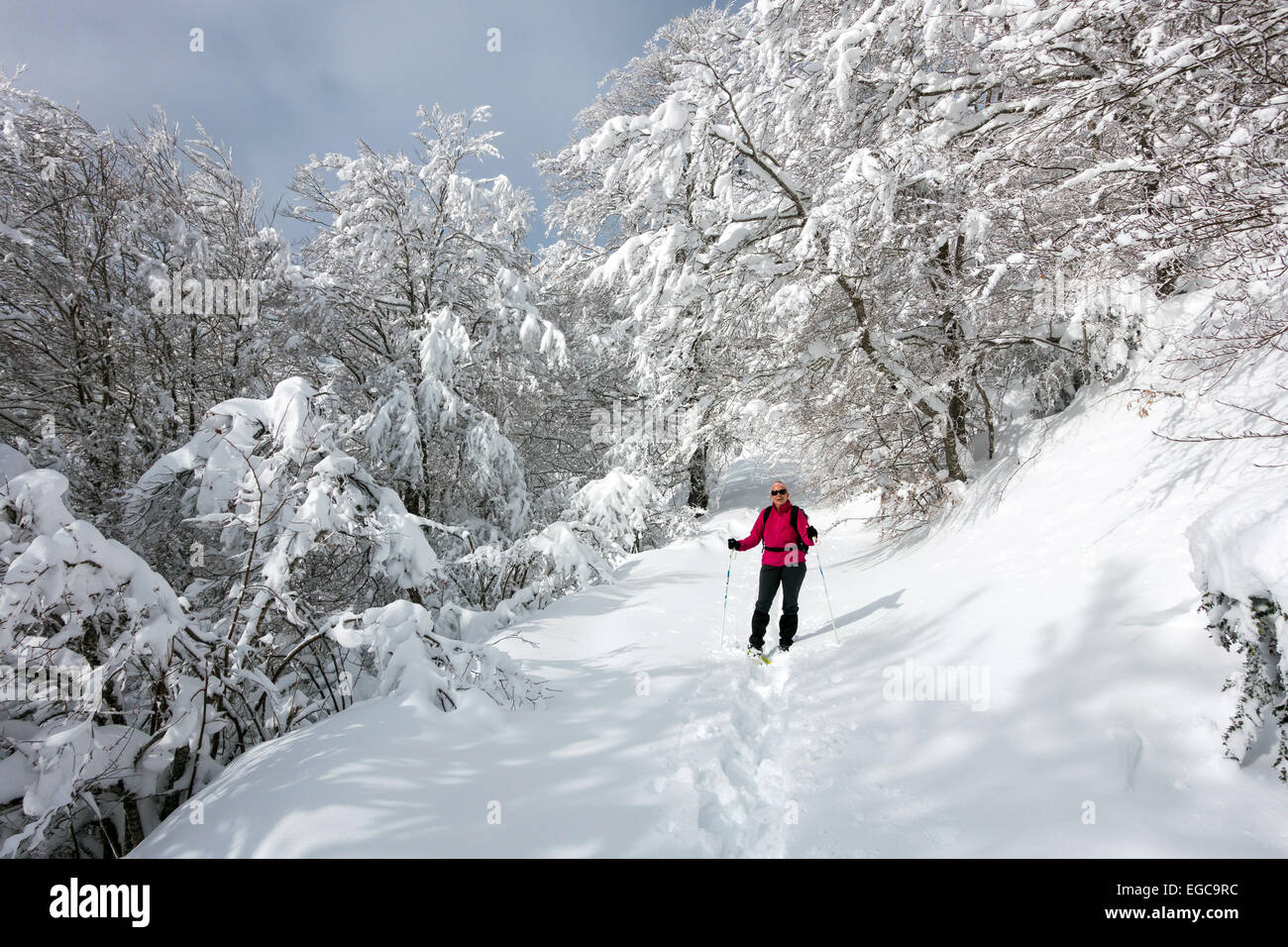 Figure féminine en haut rose, la raquette à travers des arbres dans la neige profonde, Ax les Thermes, Ariège, Pyrénées françaises Banque D'Images