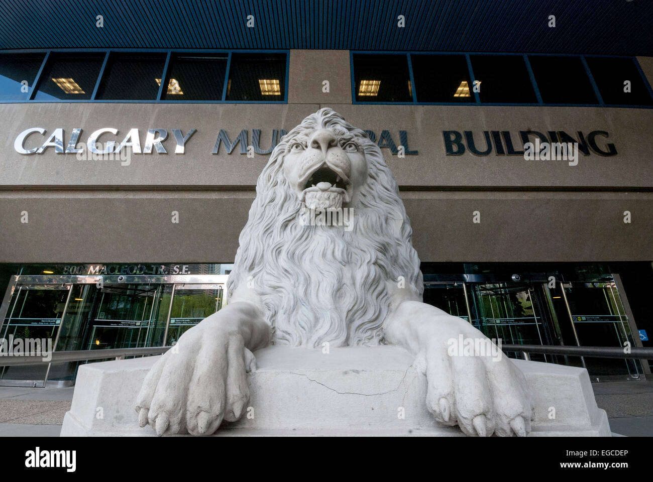 Un lion monte la garde à l'entrée de l'édifice municipal de Calgary dans le centre-ville de Calgary Alberta Canada Banque D'Images