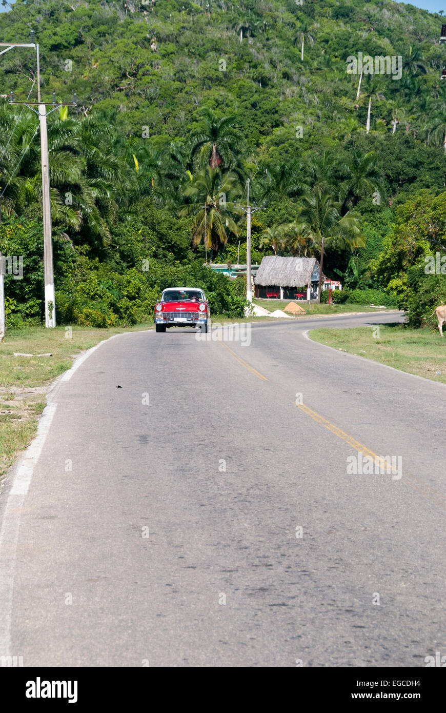 Un classique 1955 Chevrolet Bel Air utilisé comme taxi touristique voyages approches sur une route rurale près de La Havane Cuba Banque D'Images