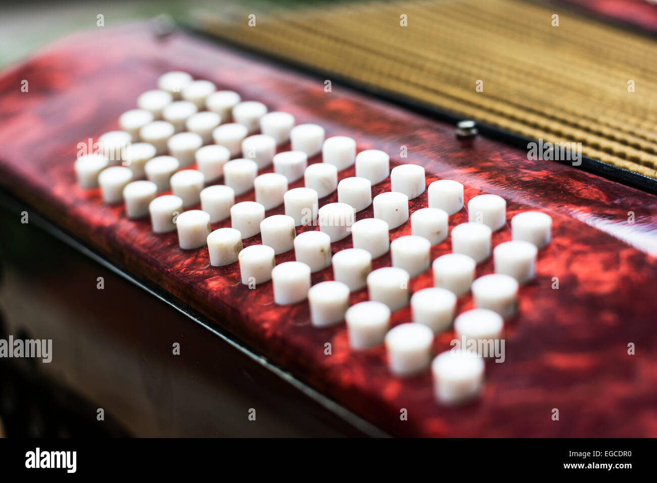 Gros plan sur un clavier classique rouge accordéon enfants Banque D'Images