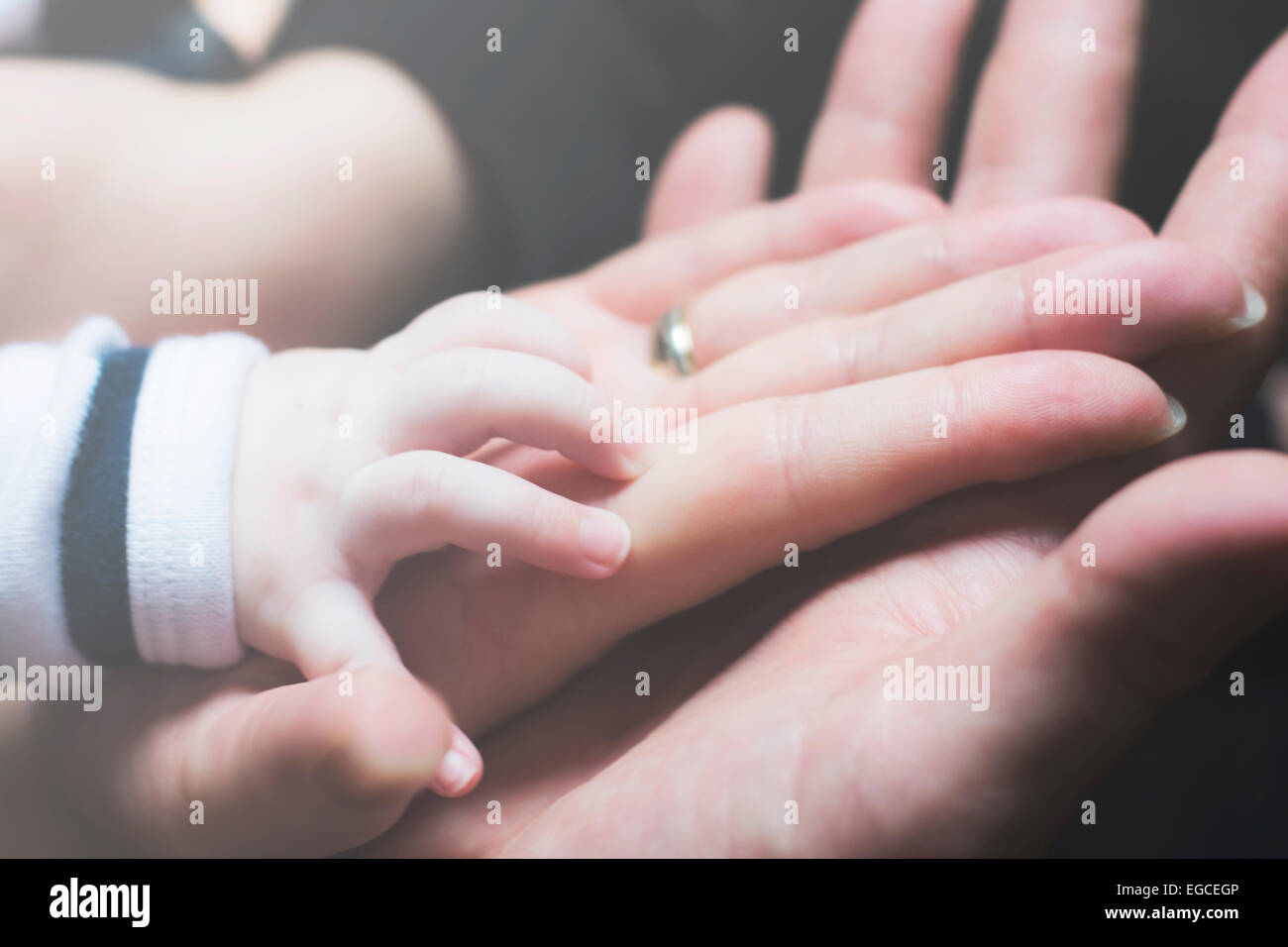 L'homme et la femme main tenant la main de bébé Banque D'Images
