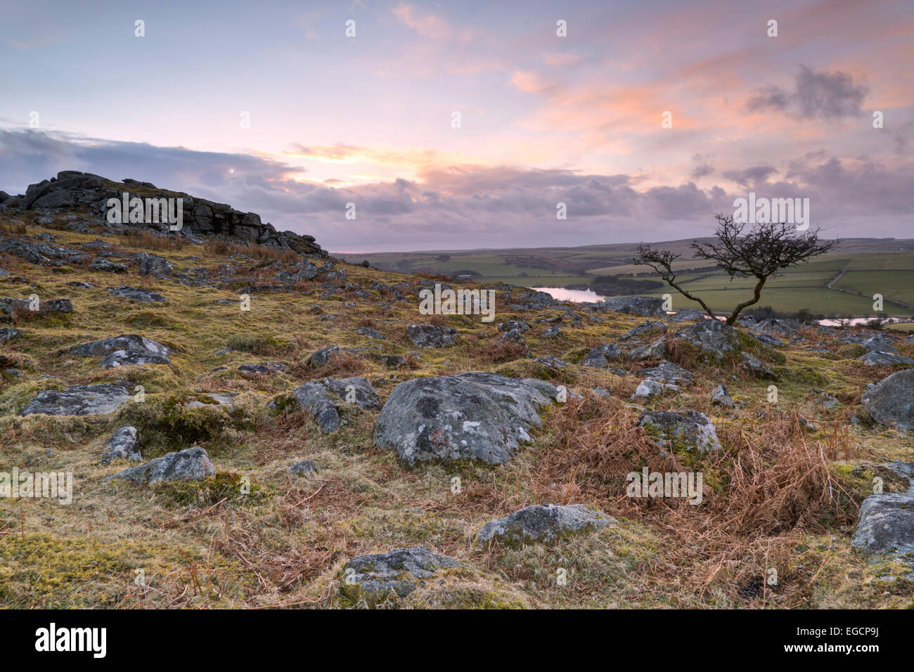 Dernière lumière du jour sur Tregarrick tor sur Bodmin Moor alors que le soleil se couche sur l'horizon Banque D'Images