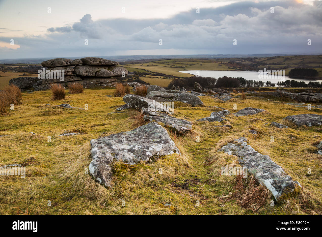 La vue sur craddock moor vers tregarrick tor et lac siblyback dans East Cornwall Banque D'Images