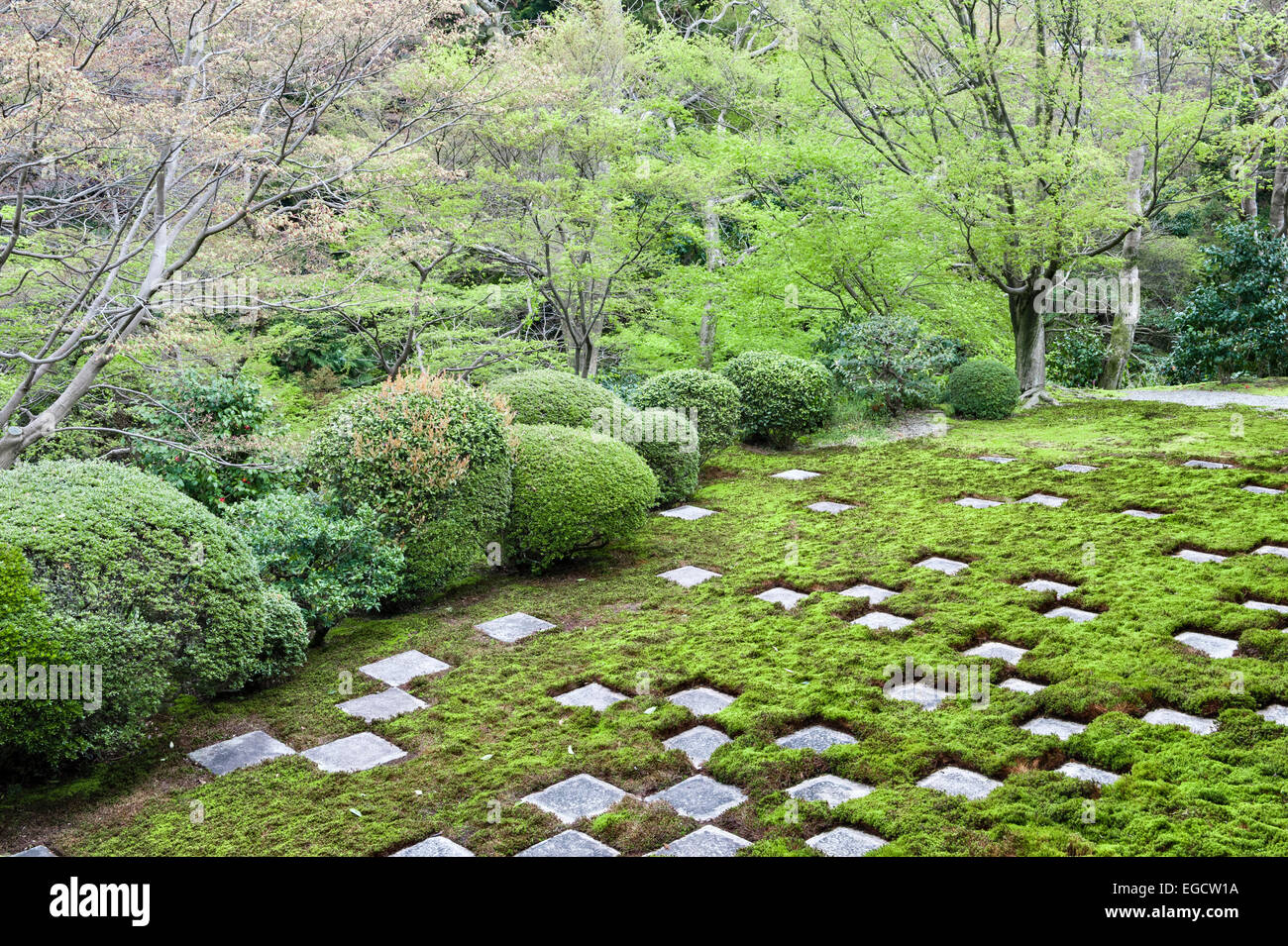 Un damier de mousse et de pierre dans le jardin nord du Hōjō (les quartiers de l'Abbé) dans le temple Tofuku-ji, conçu en 1939 par Shigemori Mirei (Kyoto) Banque D'Images