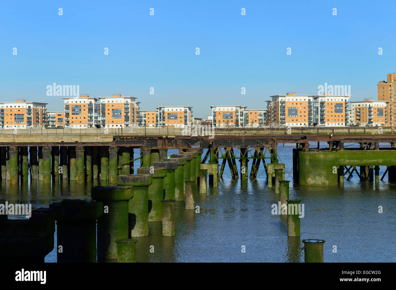 Pier moussus, estuaire de la rivière Thames, Woolwich, Londres, Royaume-Uni Banque D'Images