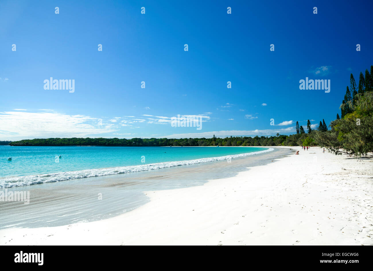 Clapotis des vagues contre le sable blanc d'une plage tropicale bordée par une forêt. Banque D'Images